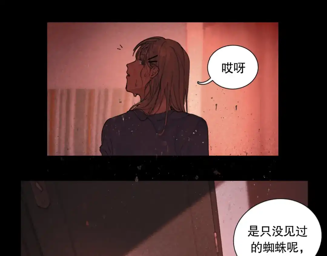 《蜘蛛丝》第41话 常识 第5页