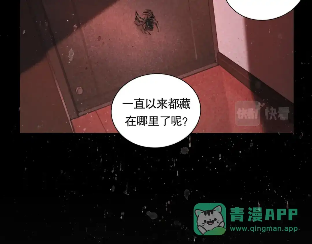 《蜘蛛丝》第41话 常识 第6页