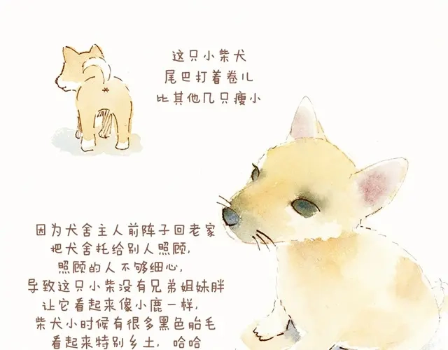 《执子之爪》这个纪念日礼物我好喜欢！ 第10页