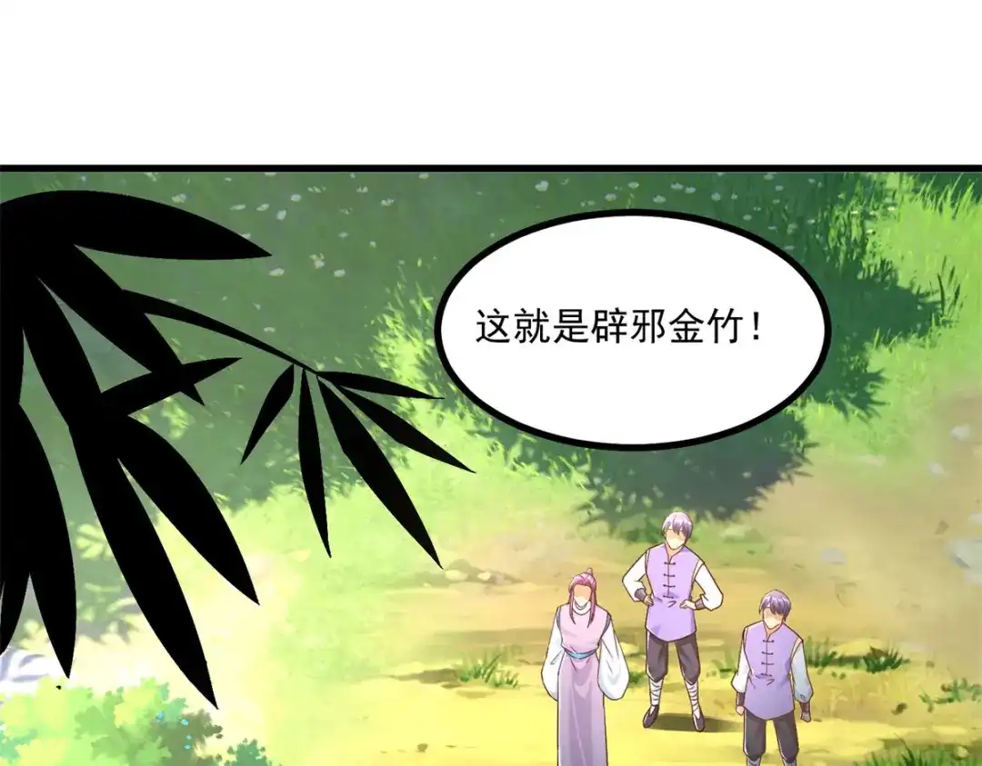 《至尊重生》第191话 辟邪金竹 第8页