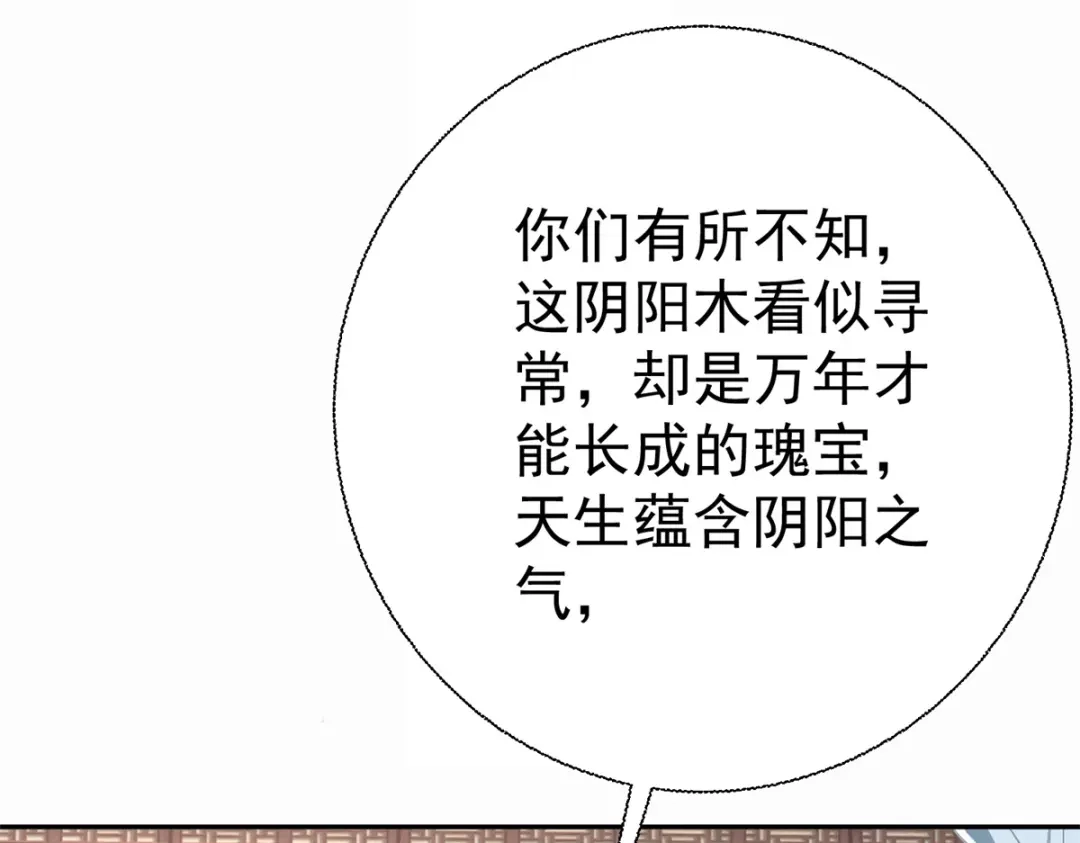 《至尊重生》第210话 阴阳木 第13页