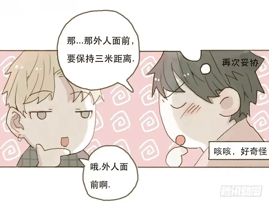 《终于和黑粉同居了》一辈子的梦想 第13页