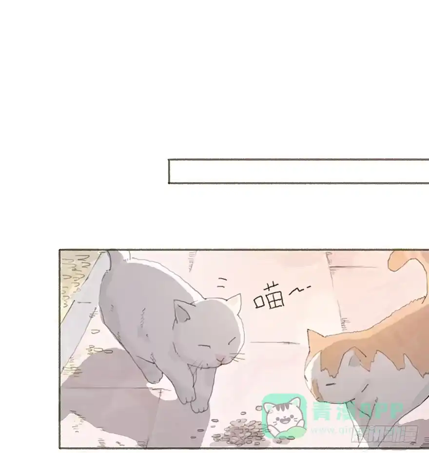 《终于和黑粉同居了》头号黑粉的觉悟 第1页