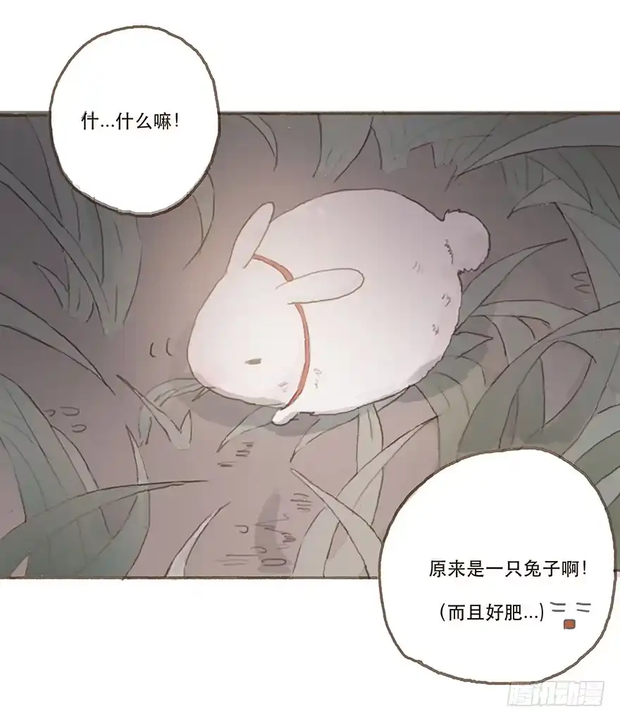 《终于和黑粉同居了》下一个目标江澄 第37页