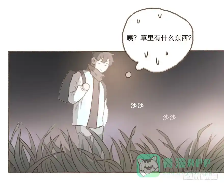 《终于和黑粉同居了》下一个目标江澄 第36页