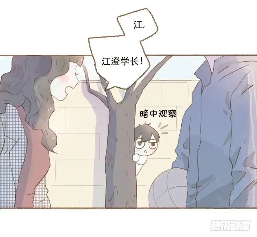 《终于和黑粉同居了》下一个目标江澄 第23页
