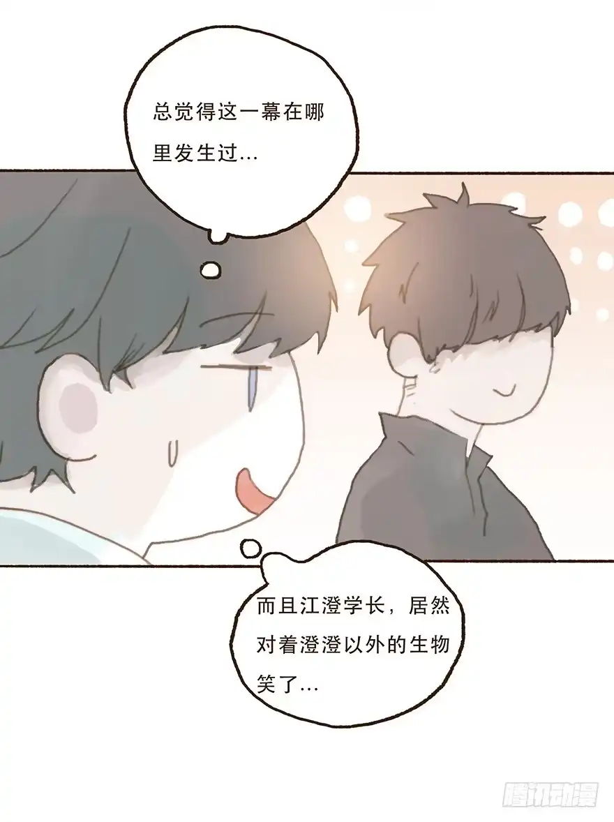 《终于和黑粉同居了》我不喜欢你这样的 第13页