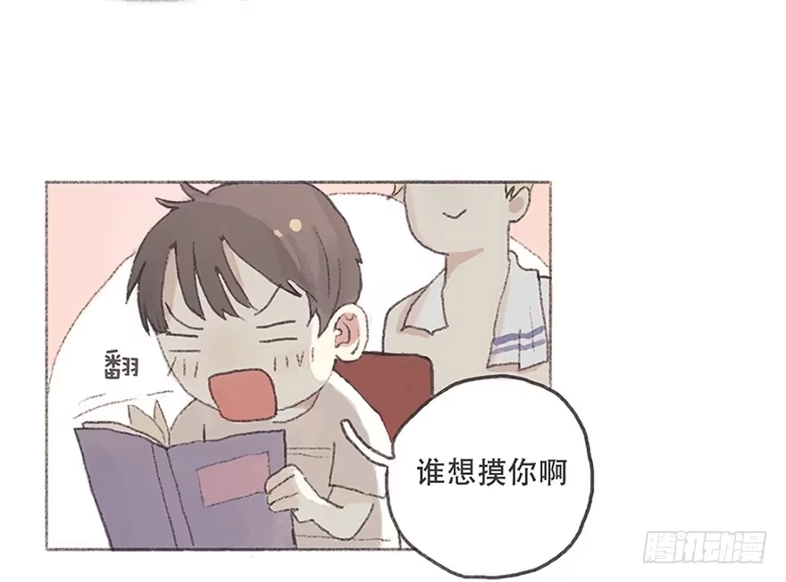 《终于和黑粉同居了》为徐弥雅守身如玉 第12页