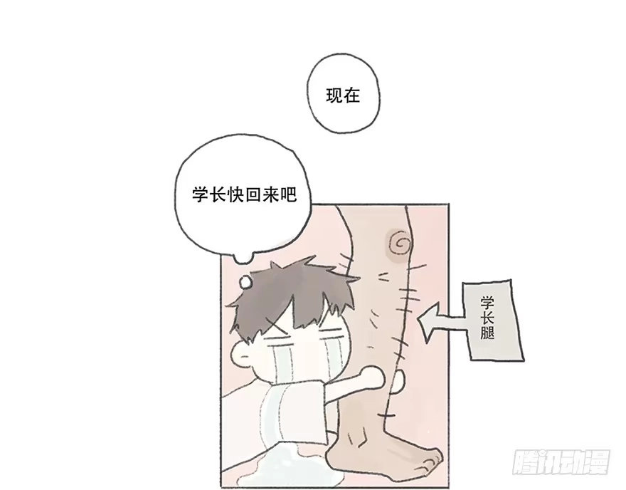 《终于和黑粉同居了》为徐弥雅守身如玉 第37页