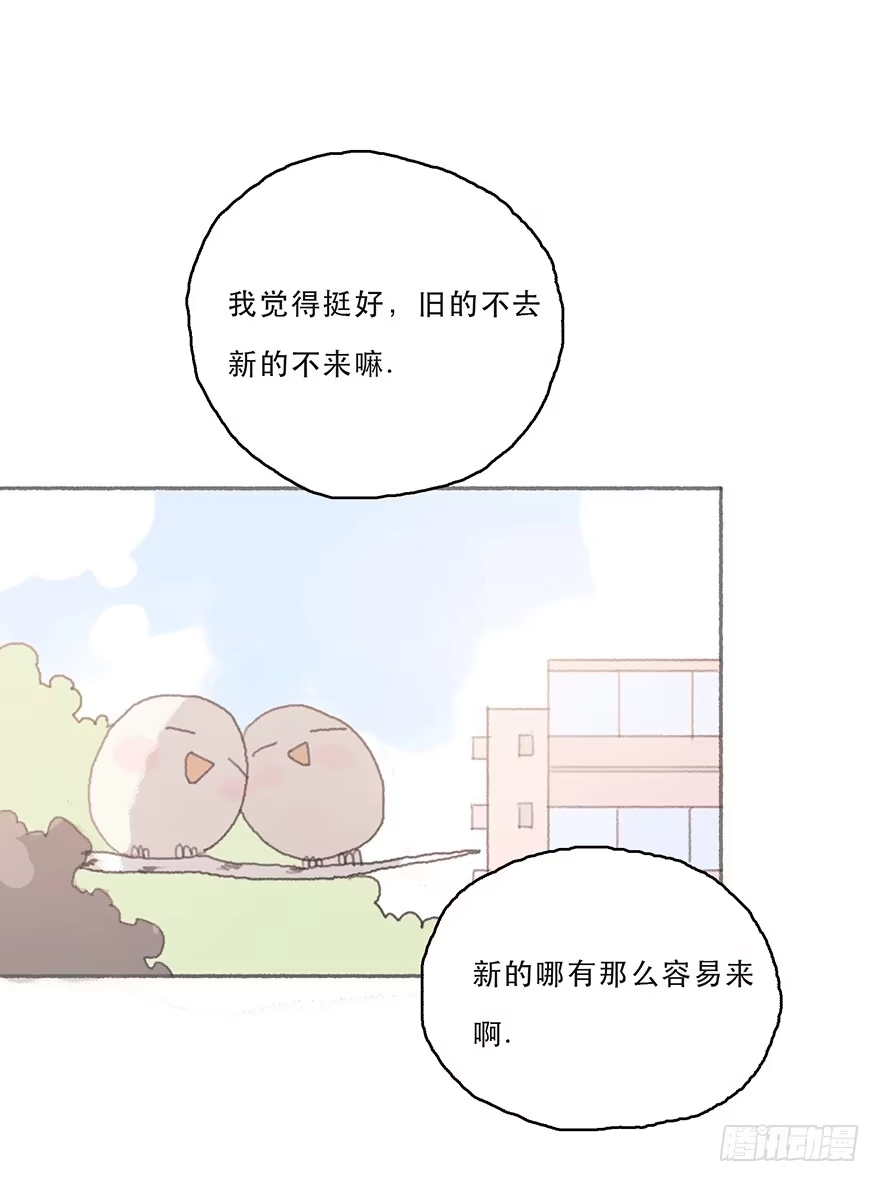 《终于和黑粉同居了》旧的不去新的不来 第29页