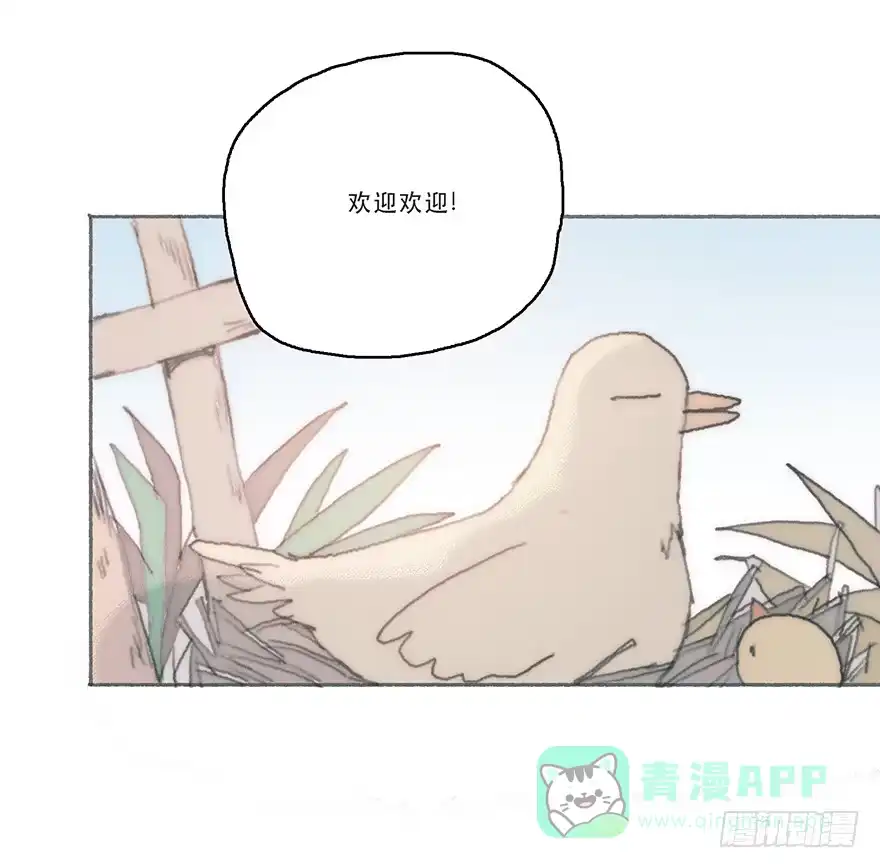 《终于和黑粉同居了》我不喜欢女孩子 第16页
