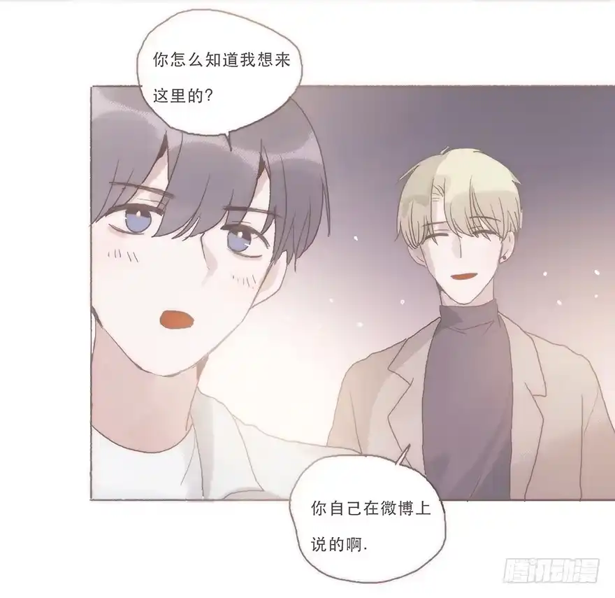 《终于和黑粉同居了》我喜欢你 第2页