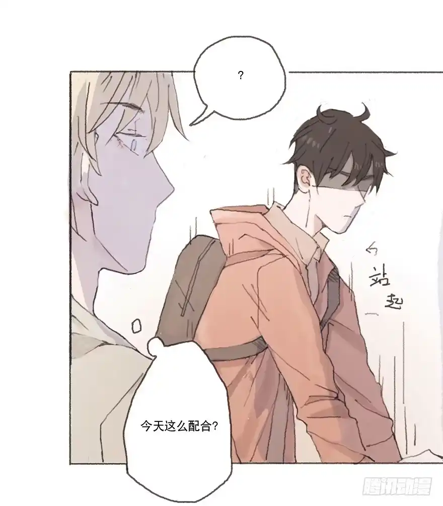 《终于和黑粉同居了》黑粉职涯的滑铁卢 第5页