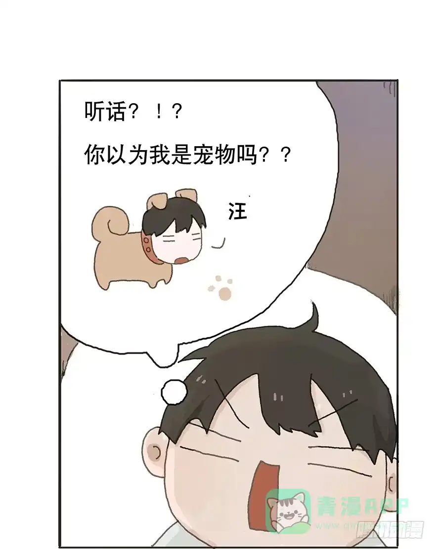 《终于和黑粉同居了》你要听我话 第11页