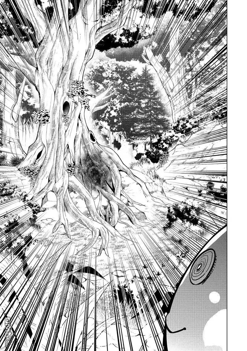 《转生贤者的异世界生活~取得副职业并成为世界最强》第61.2话 试看版 第11页
