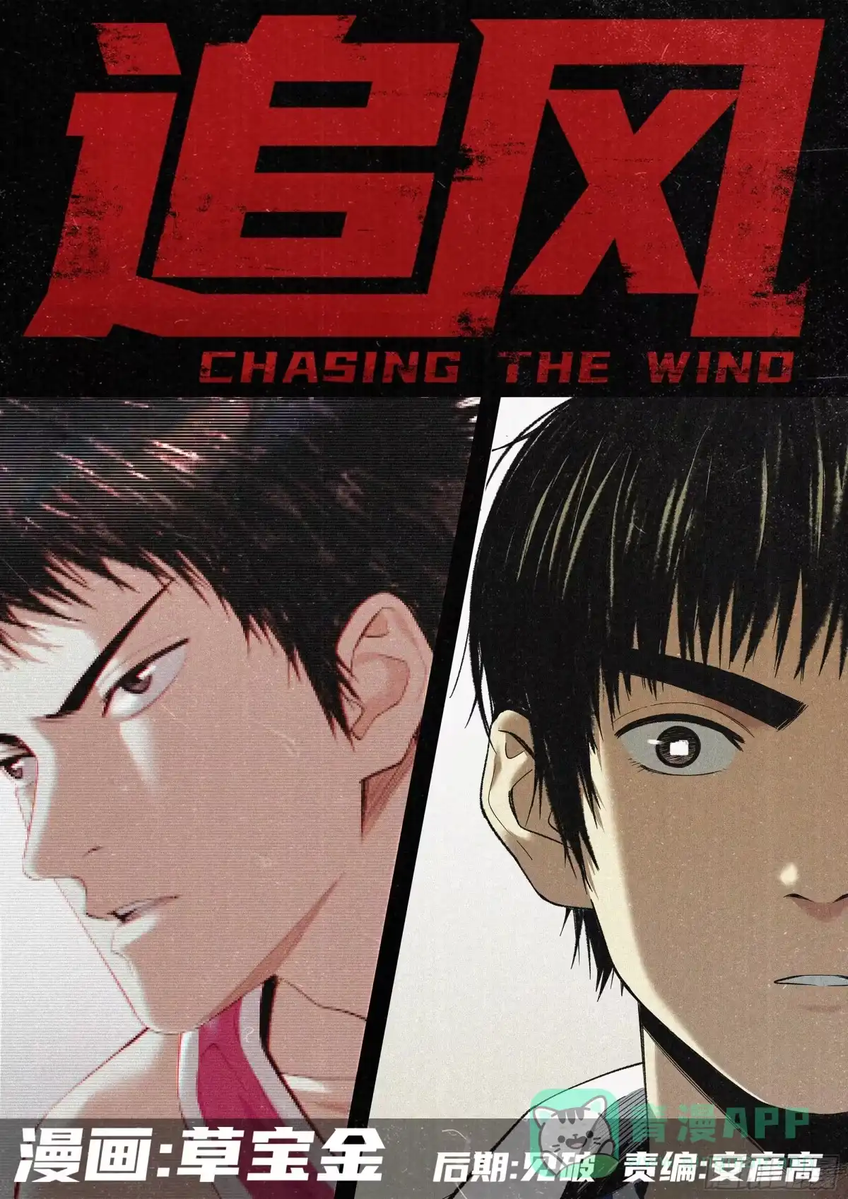 《追风》29 王 第1页