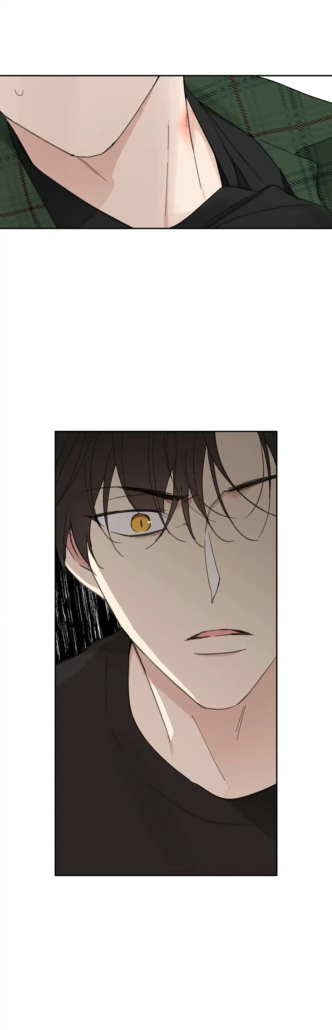 《主人的私情》第131话 第17页