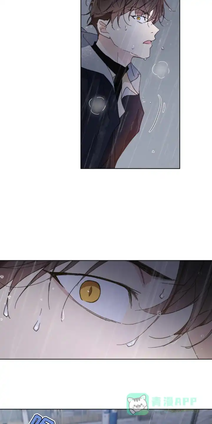 《主人的私情》第154话 第6页