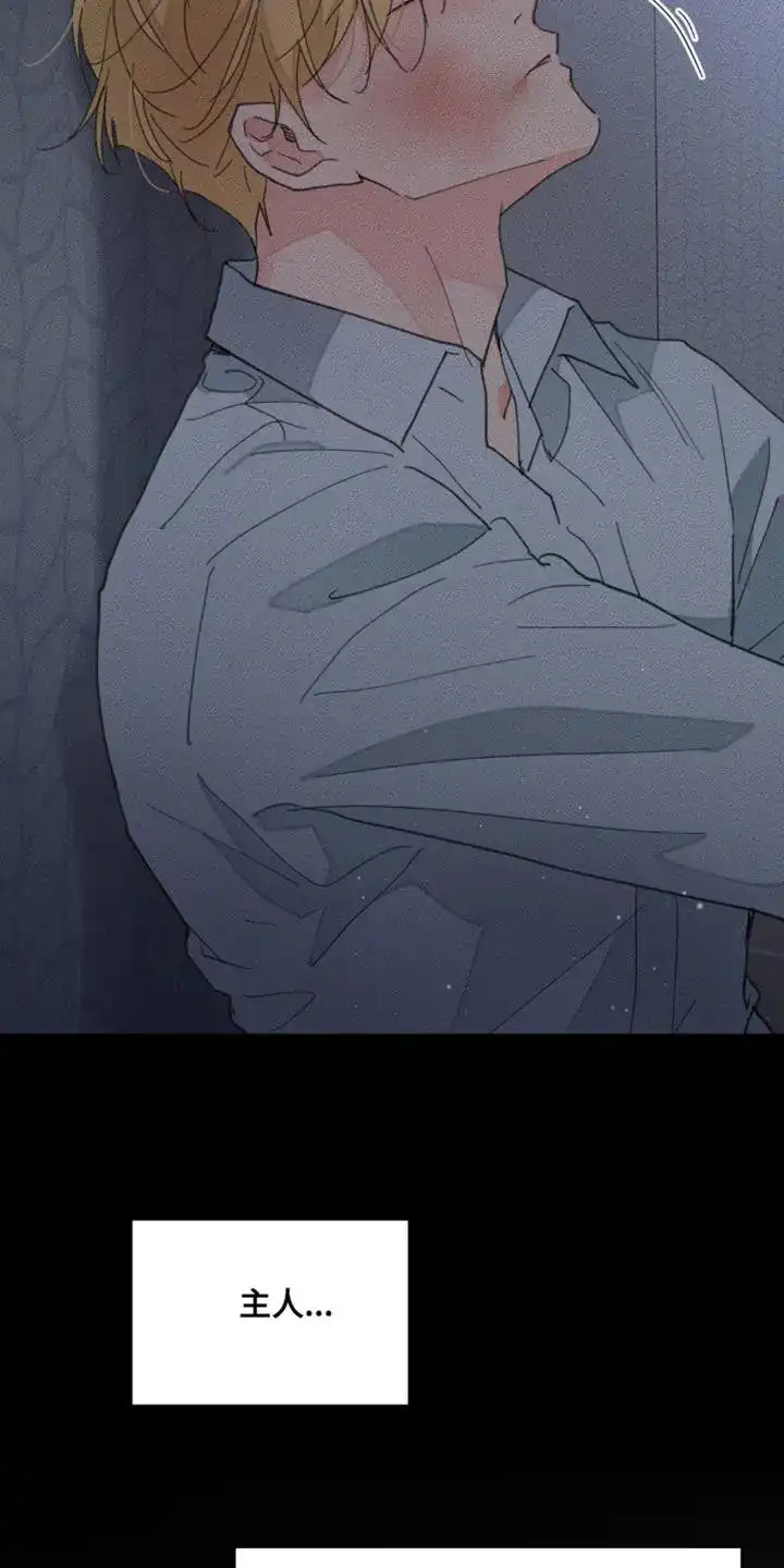 《主人的私情》第167话 第28页