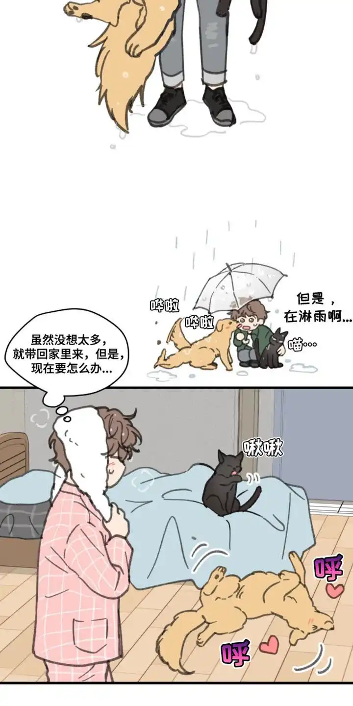 《主人的私情》第172话 第2页