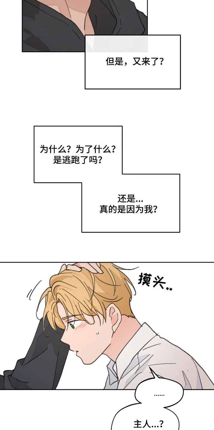 《主人的私情》第179话 第15页