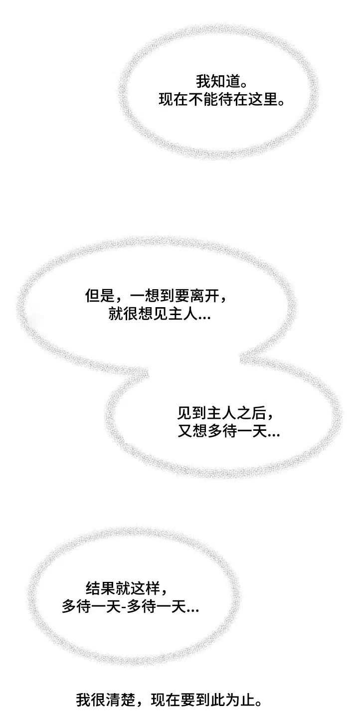 《主人的私情》第182话 第19页