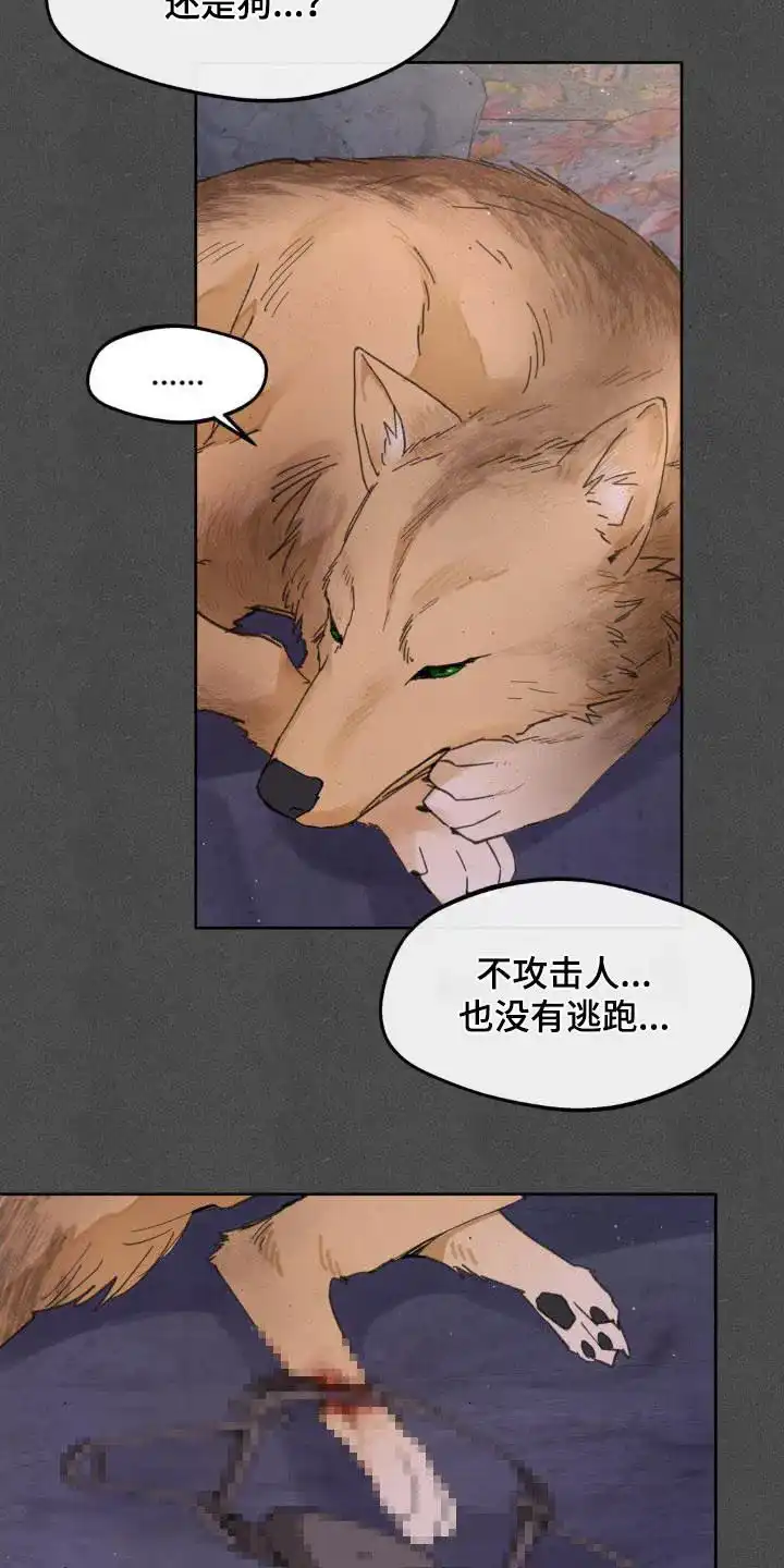 《主人的私情》第189话 第5页