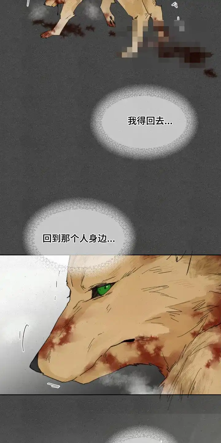 《主人的私情》第191话 第17页