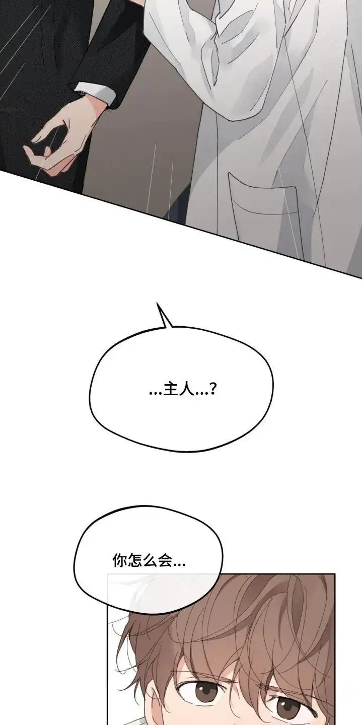 《主人的私情》第202话 第4页