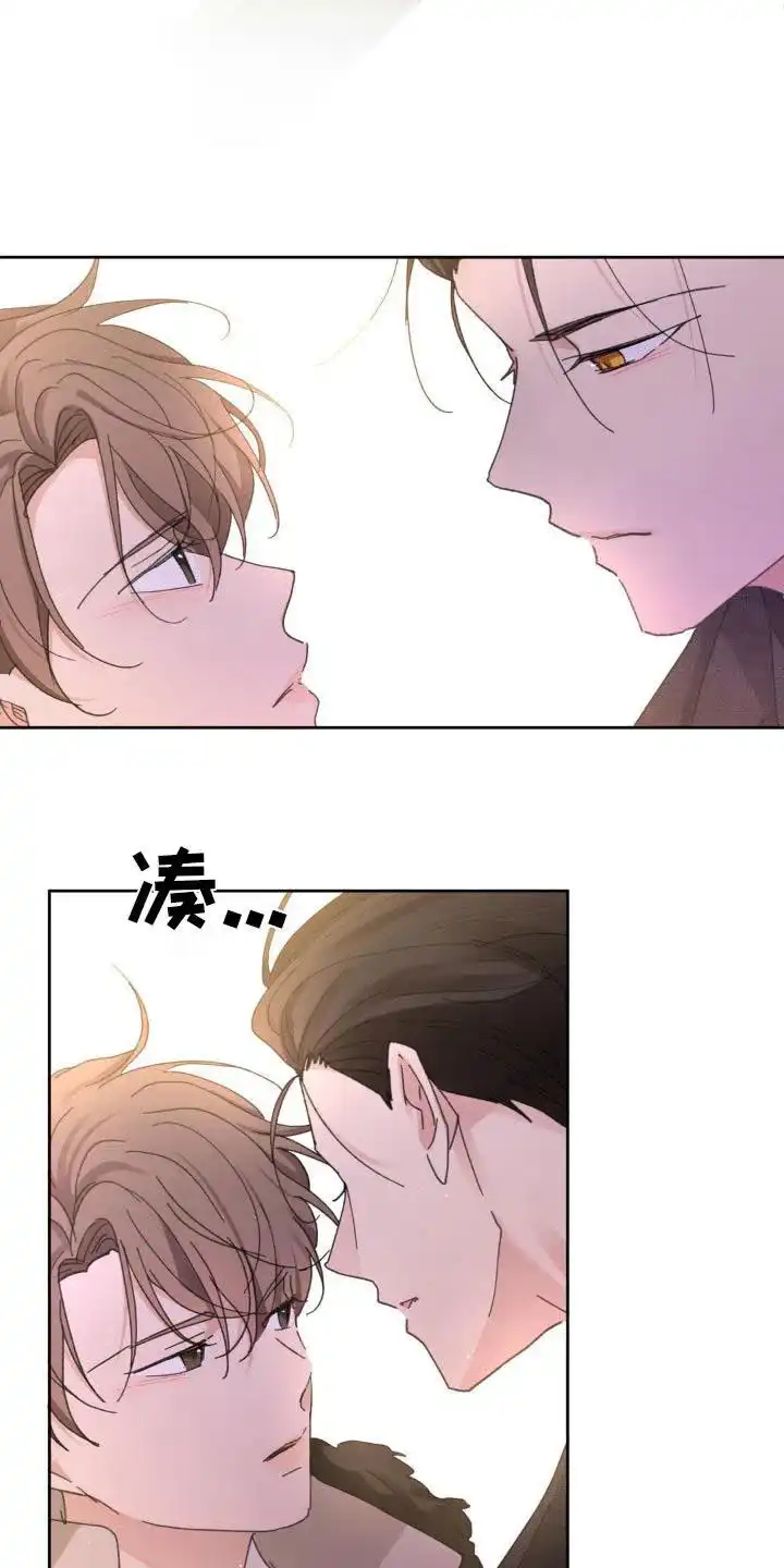 《主人的私情》第214话 第12页