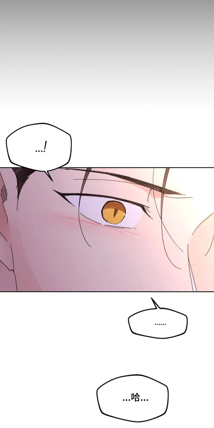 《主人的私情》第214话 第9页