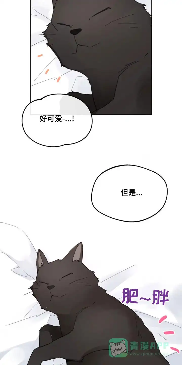 《主人的私情》第215话 第21页