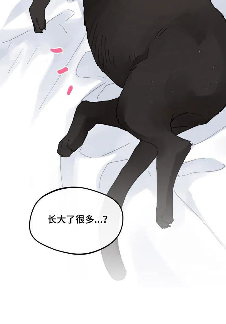 《主人的私情》第215话 第22页