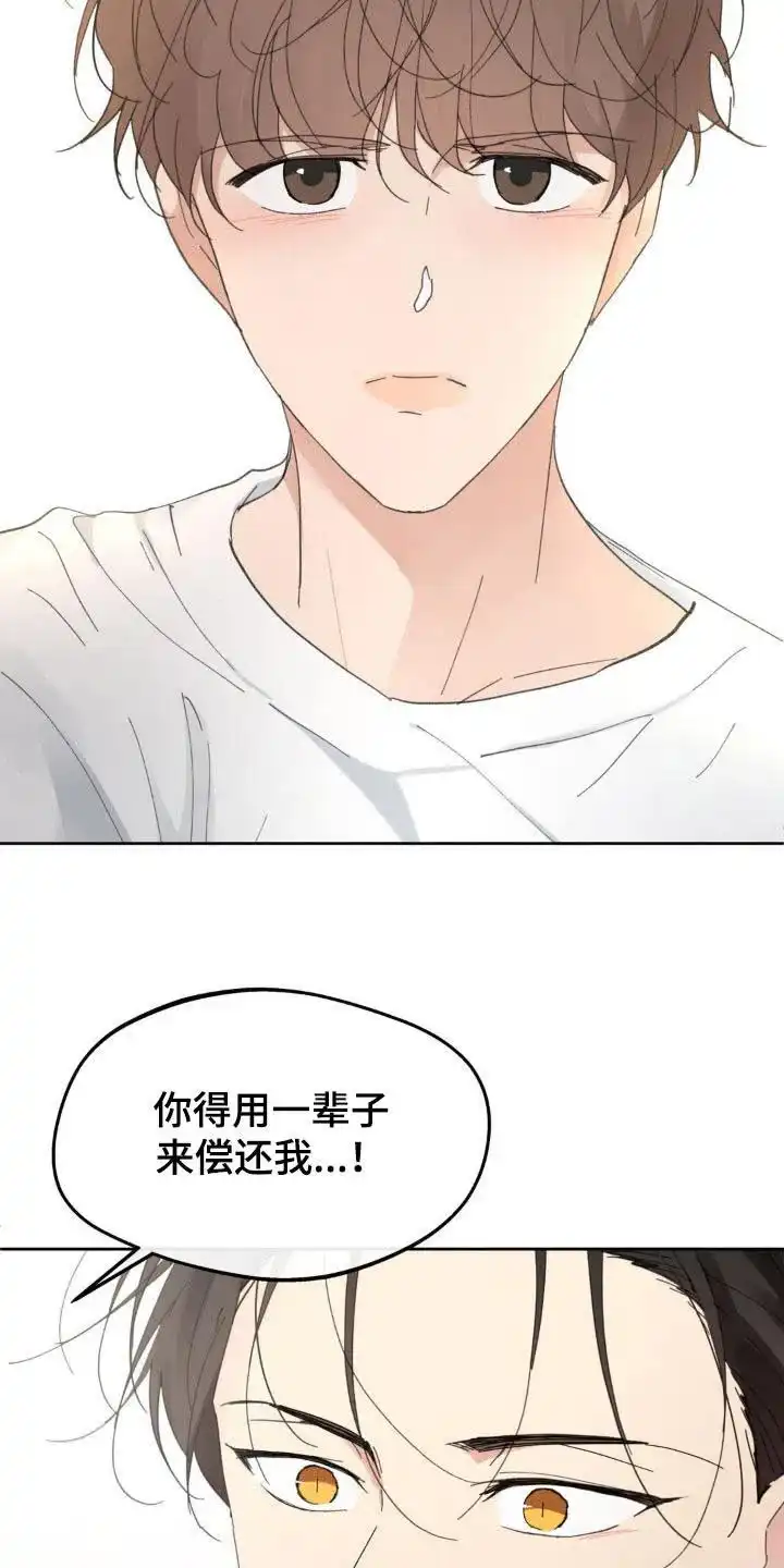 《主人的私情》第217话 第14页