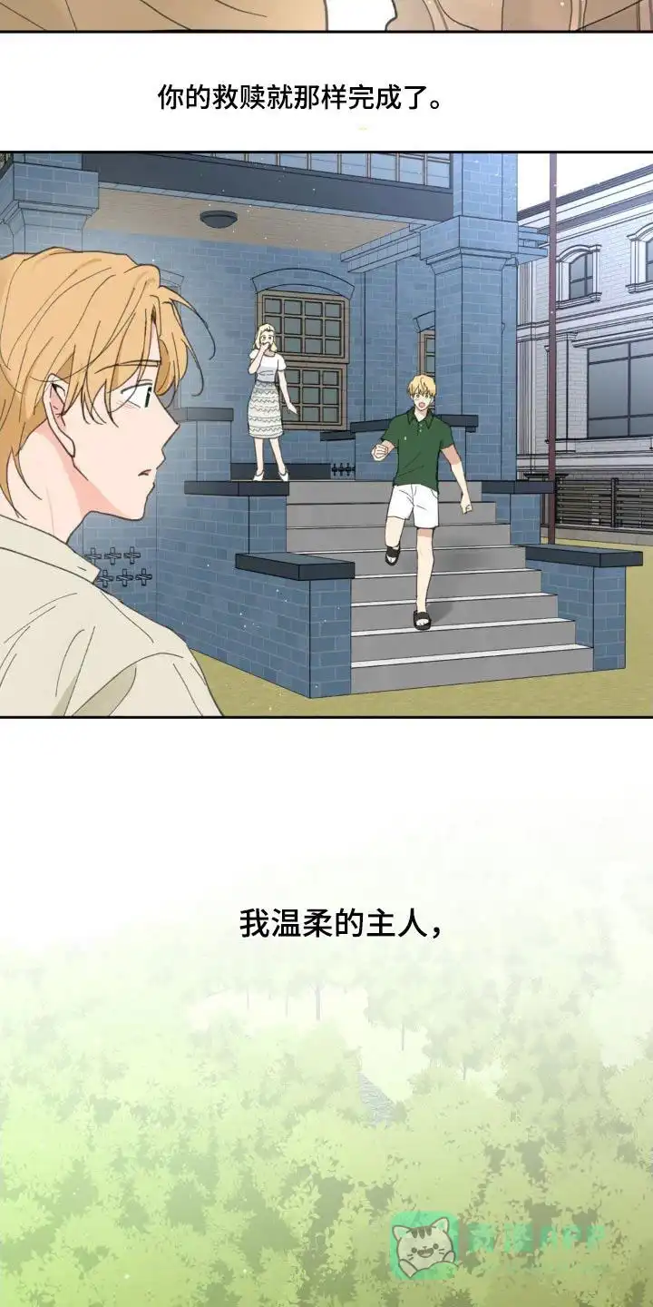 《主人的私情》第222话 第26页
