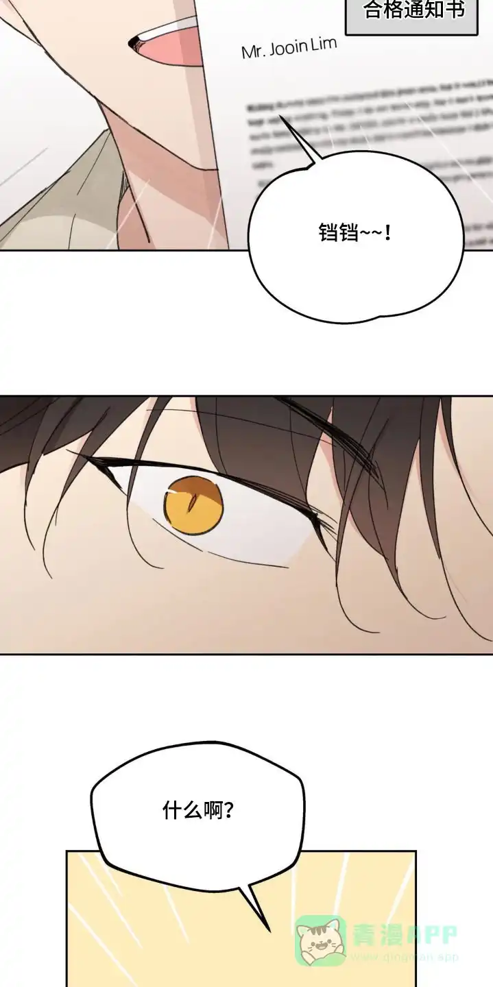 《主人的私情》第228话 第16页
