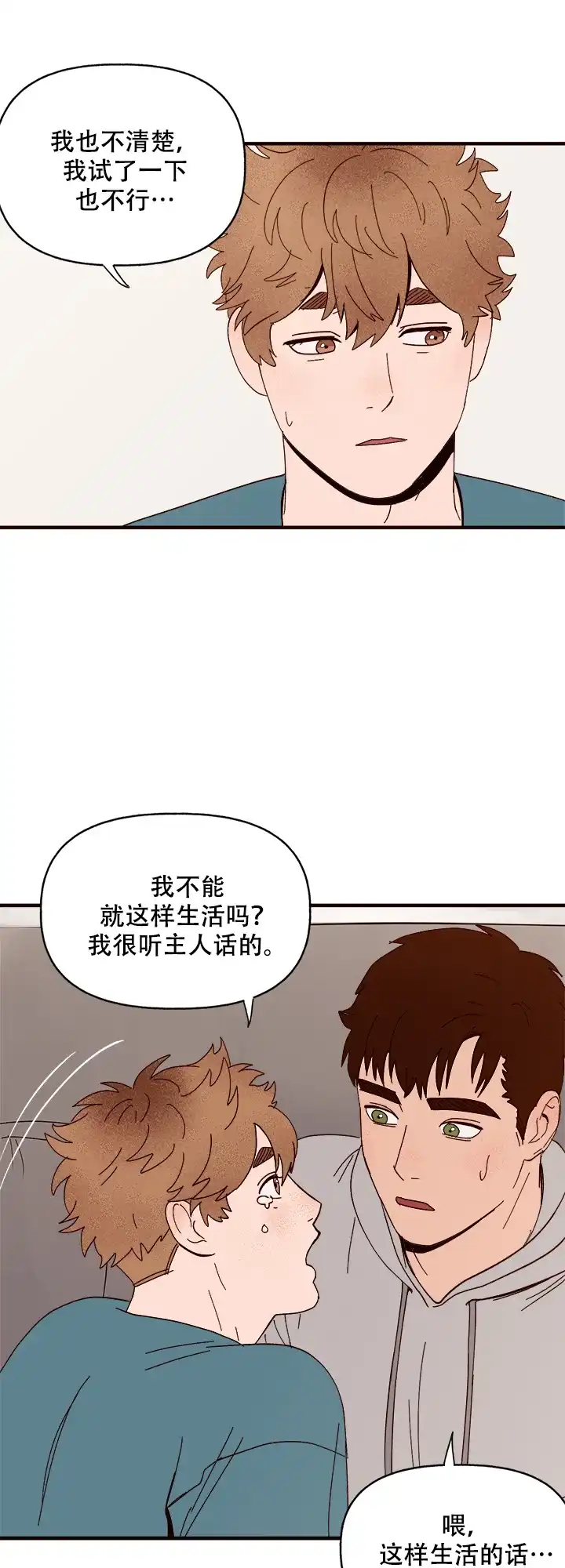 《主人的主人》第15话 第19页