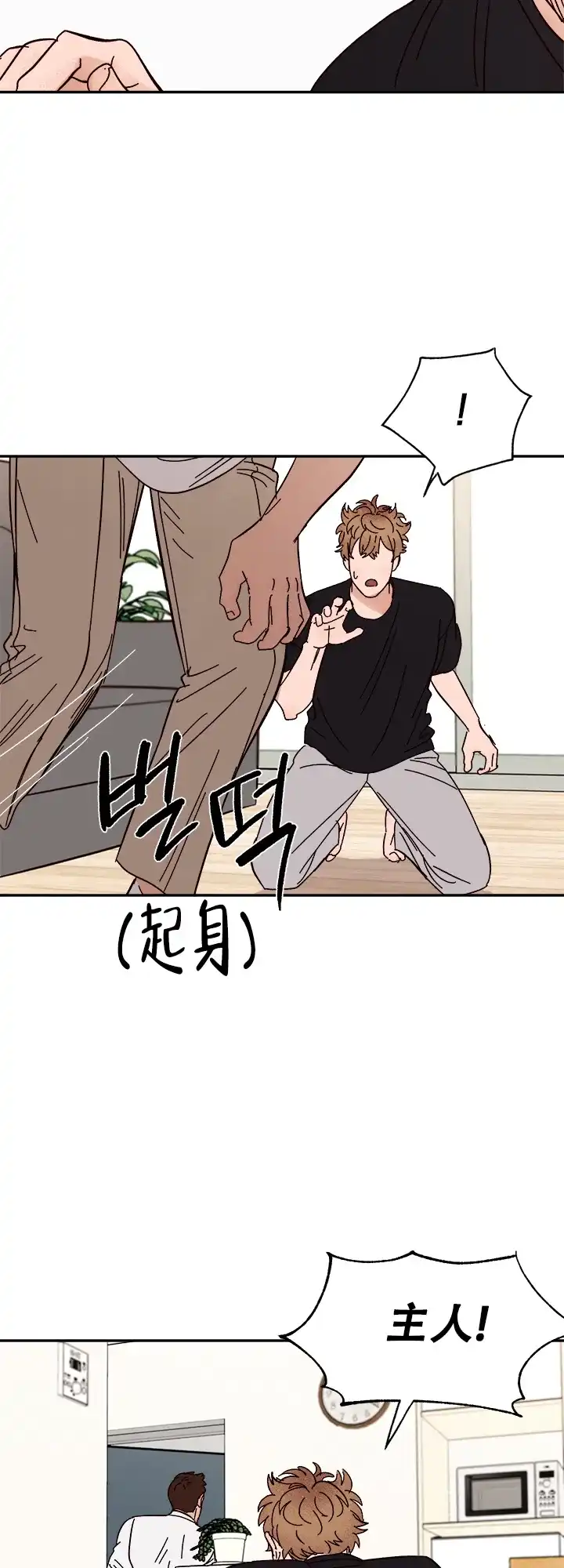 《主人的主人》第59话 第17页