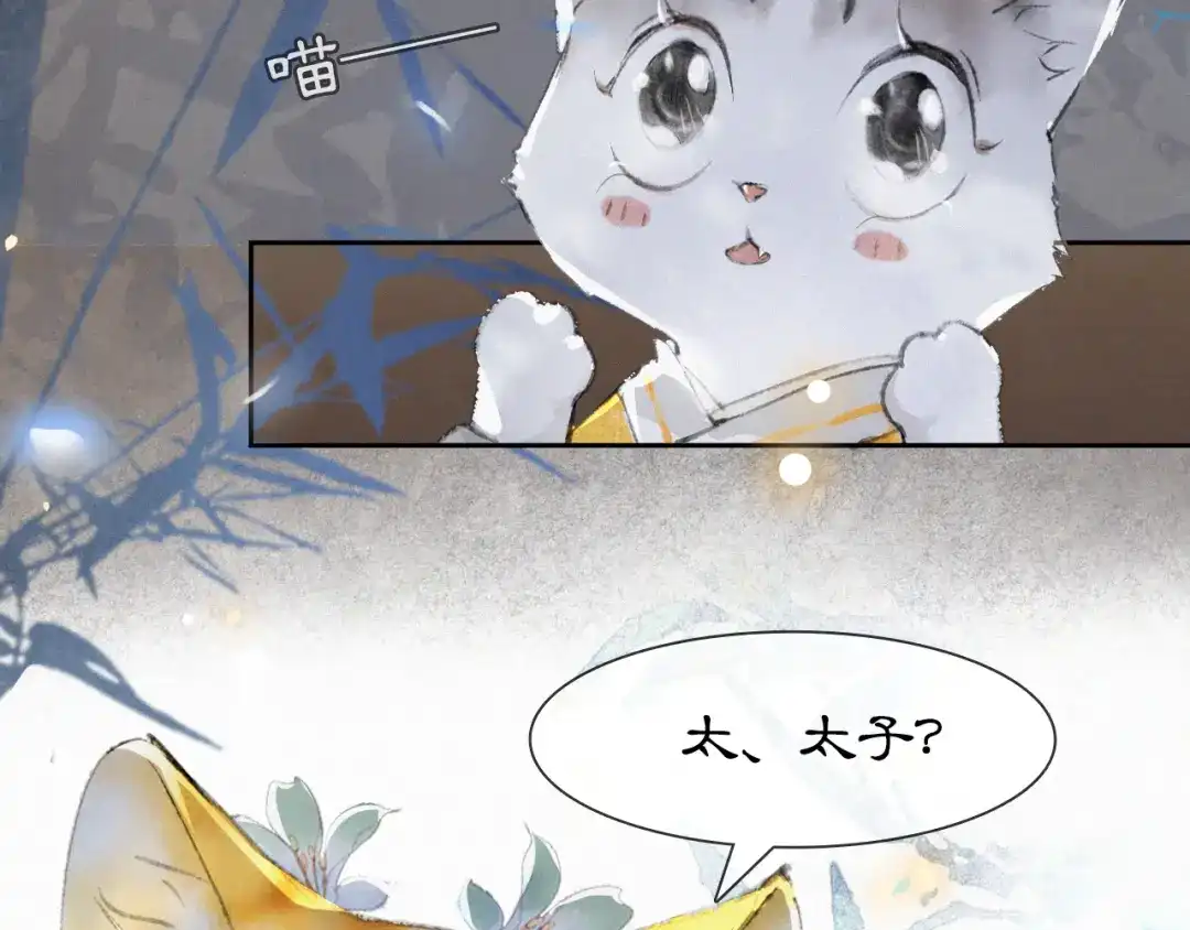 《紫禁·御喵房》第7话 月下卧谈 第3页
