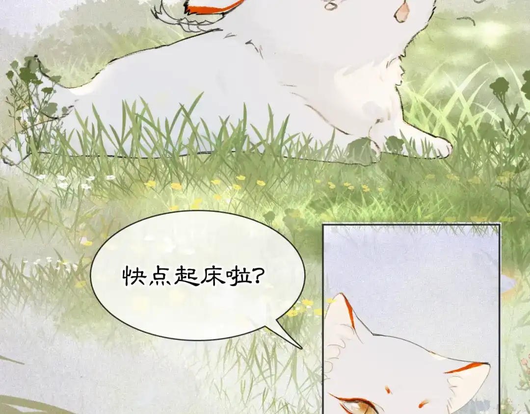 《紫禁·御喵房》第46话 两个世界的触碰 第26页
