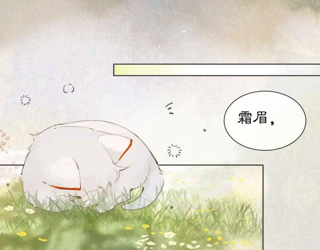 《紫禁·御喵房》第46话 两个世界的触碰 第24页