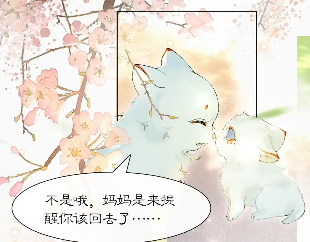 《紫禁·御喵房》第46话 两个世界的触碰 第30页