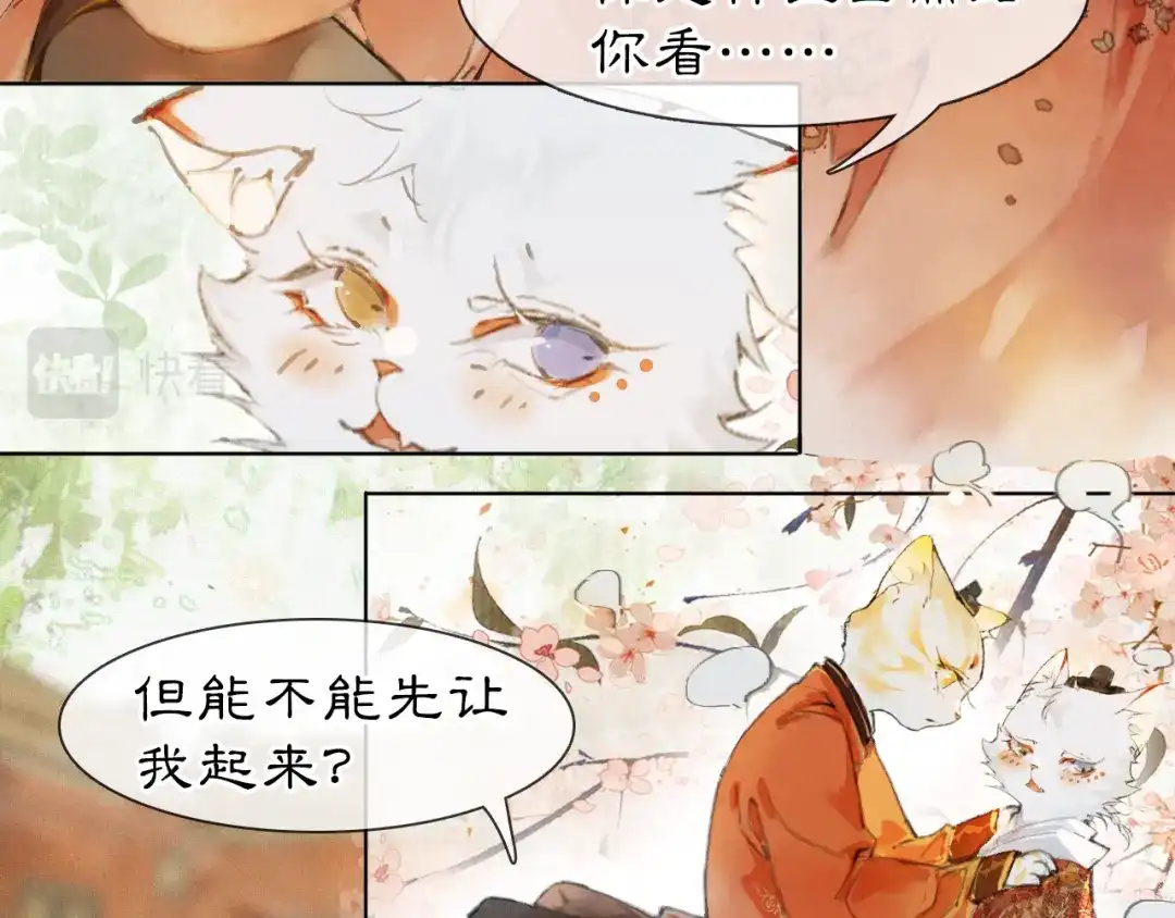 《紫禁·御喵房》第二季完结篇 回家 第31页