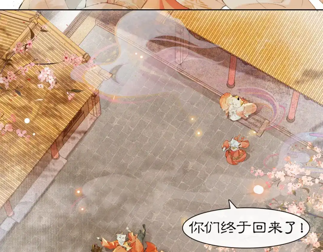 《紫禁·御喵房》第二季完结篇 回家 第14页