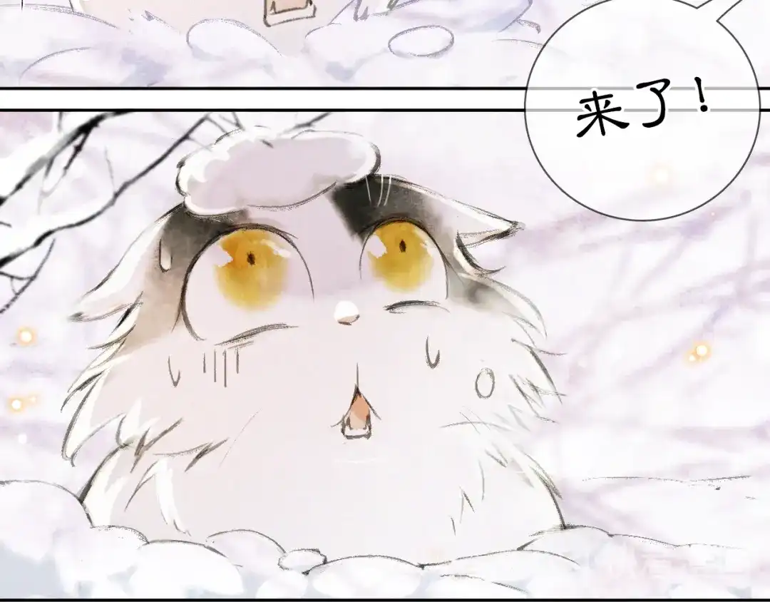 《紫禁·御喵房》番外 下雪啦~ 第32页