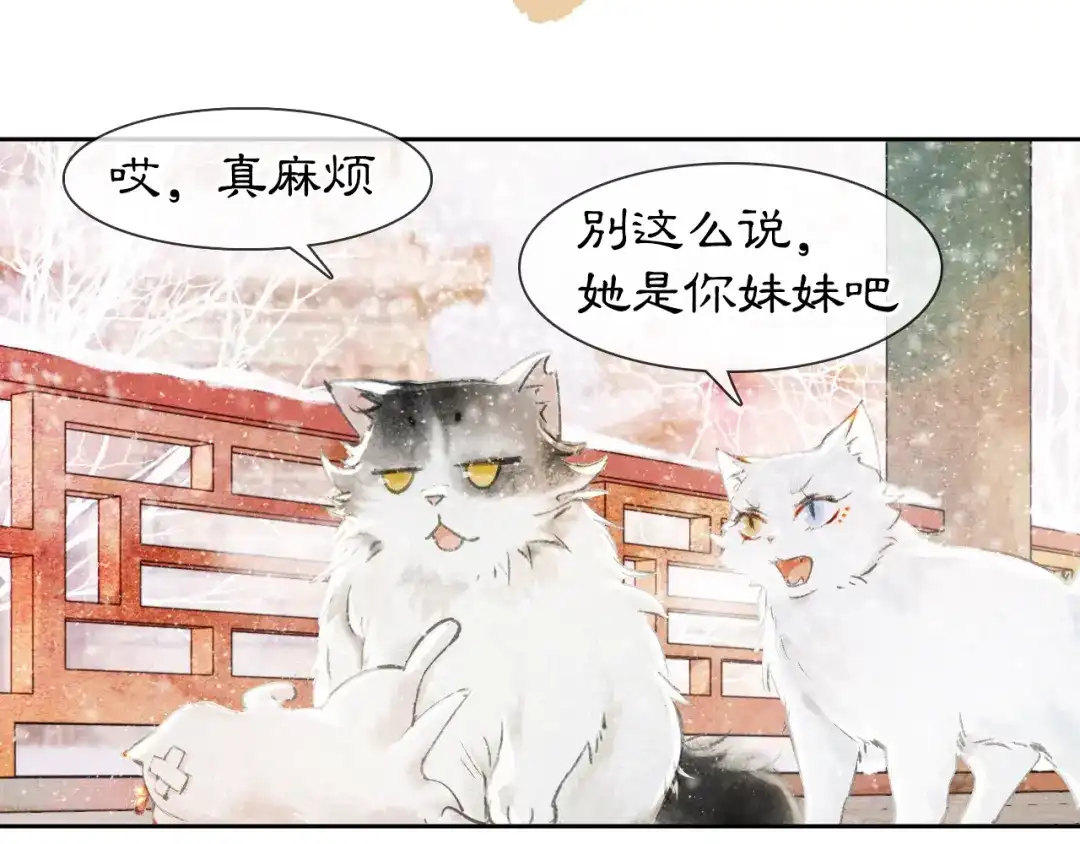 《紫禁·御喵房》番外 下雪啦~ 第11页