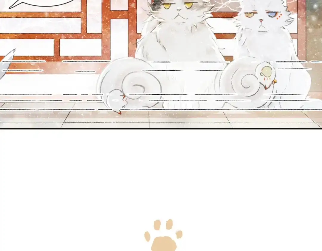 《紫禁·御喵房》番外 下雪啦~ 第10页