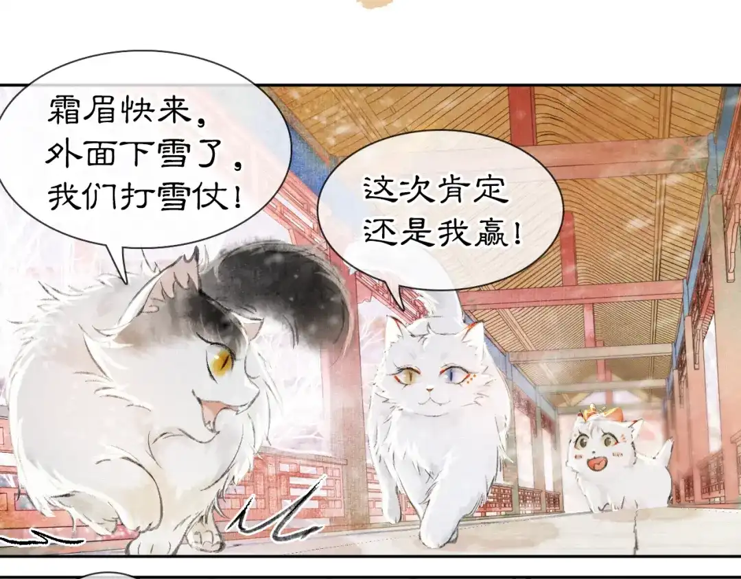 《紫禁·御喵房》番外 下雪啦~ 第7页