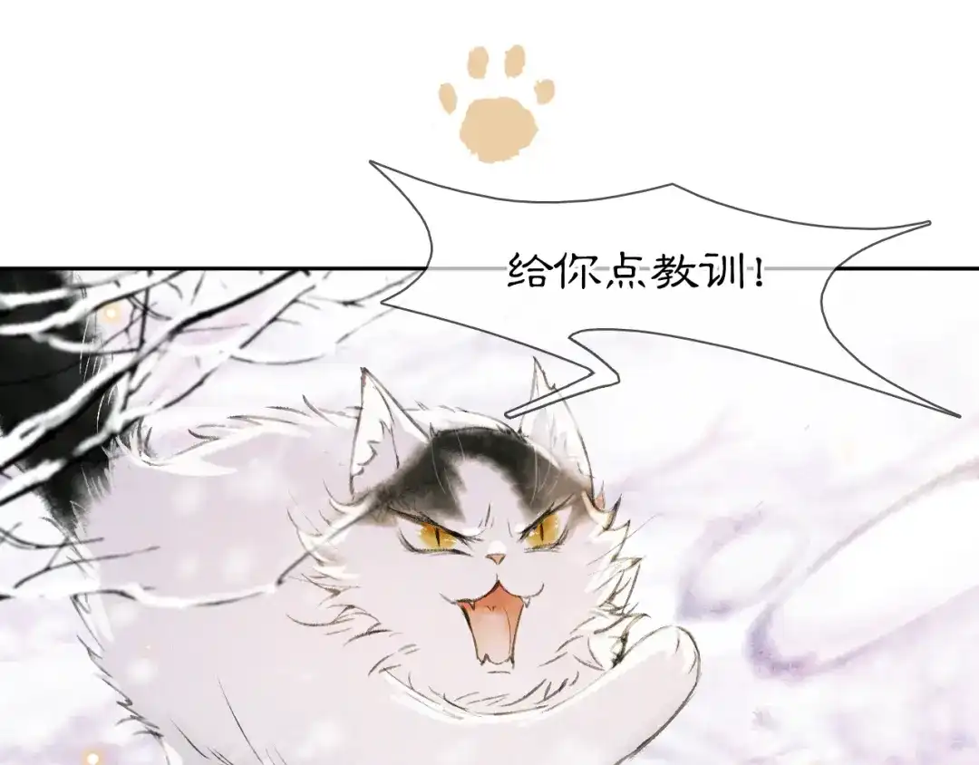 《紫禁·御喵房》番外 下雪啦~ 第35页