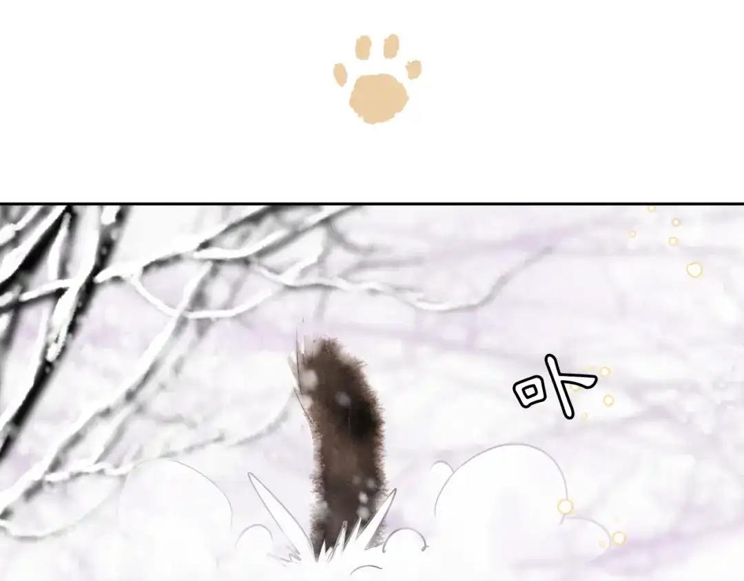 《紫禁·御喵房》番外 下雪啦~ 第27页
